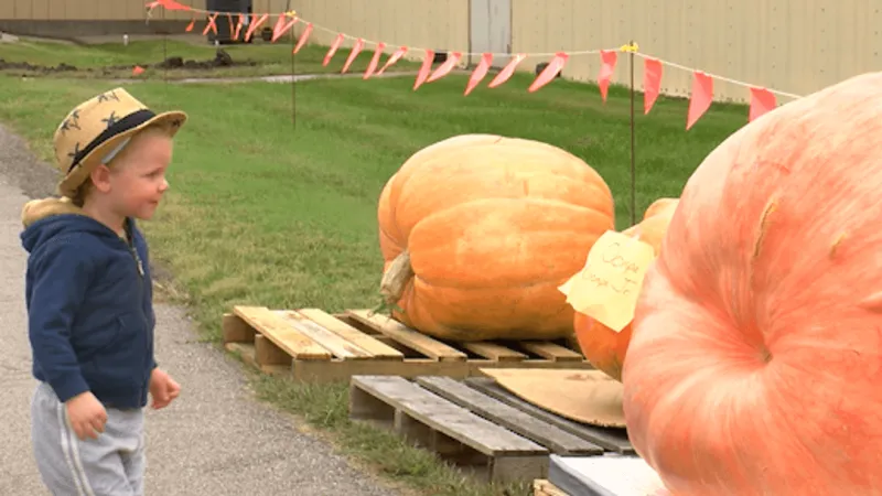 Holdrege hosts largest pumpkin in Nebraska competition