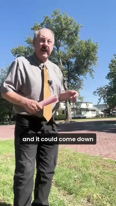 Gretna looking to remove beloved tree (Video)