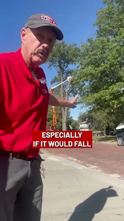 Gretna Oak Comes Down Amid Dispute With Neighbors (Video)