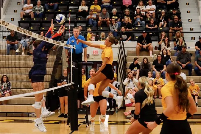Balanced 'Cats handle UMary