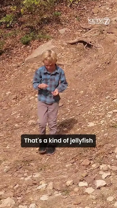 Young boy finds rare fossil in Nebraska park (Video)