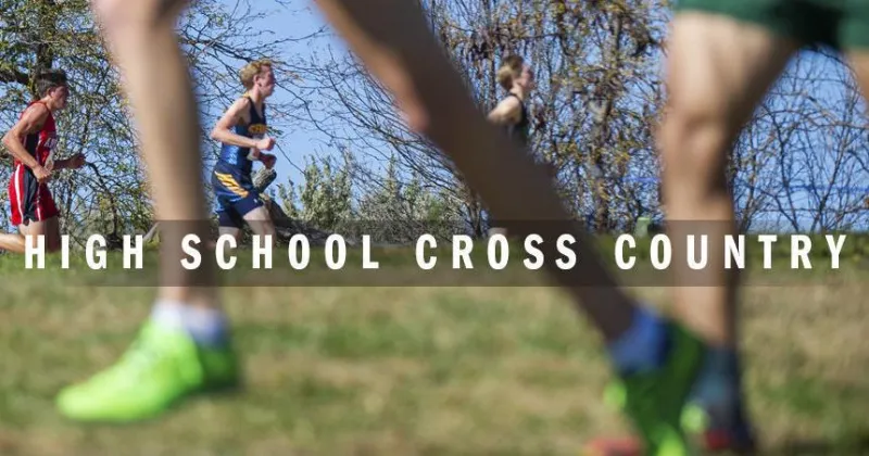 Cross country roundup: Lincoln Christian scores perfect 10 at district meet