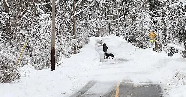 US winter is likely to be wetter and warmer, forecasters say