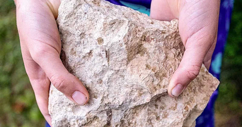 Eagle boy, 6, went looking for fossils. What he found surprised experts.