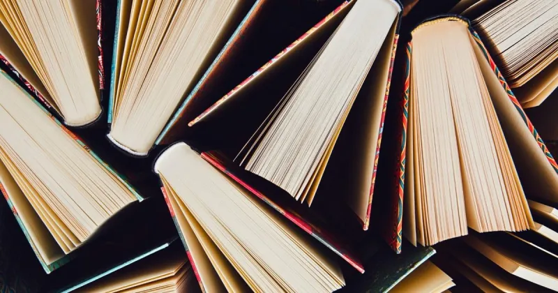 SHERRY PRESTON: Homegrown Author event brings writers together