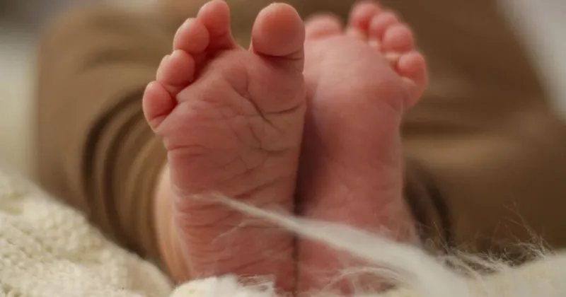 Birth Announcement | Charlotte Lepper