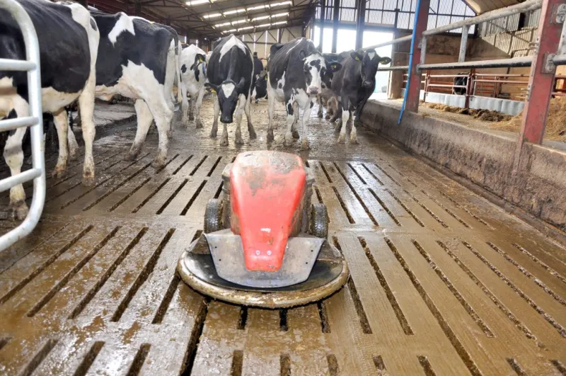 UK government launches 'robot revolution' to ease labor shortage on farms