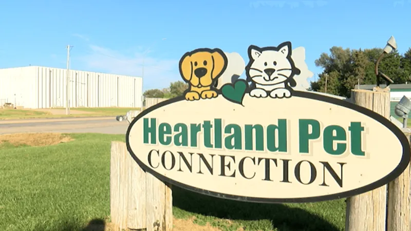 Hastings contemplates temporary pet shelter after nonprofit ends city contract