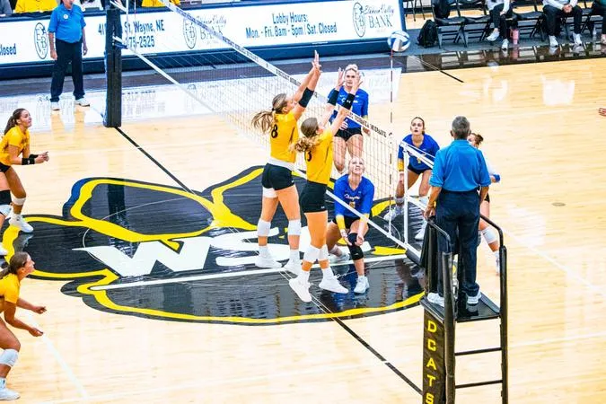 Strong hitting carries #2 Wildcats in sweep over William Jewell