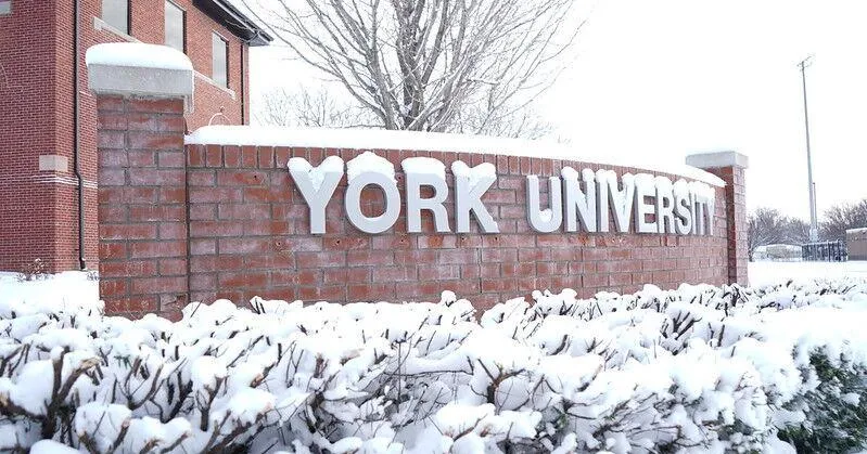 York University receives $3 million for lab improvements