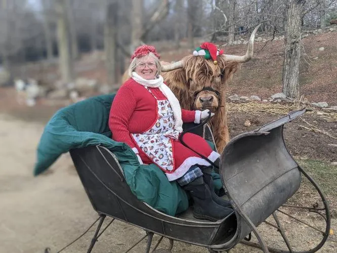 Carole's corner: Christmas on the Farm
