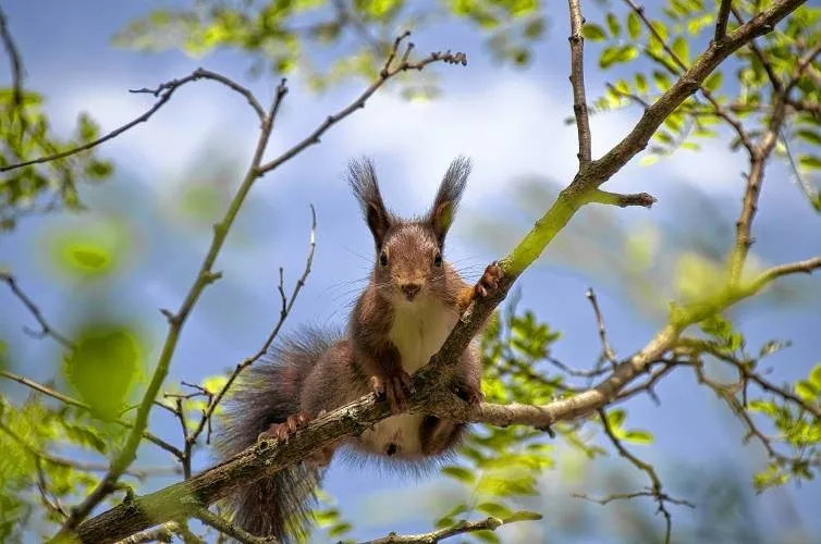 Take Me Outside: What can you see during 'stick season'?