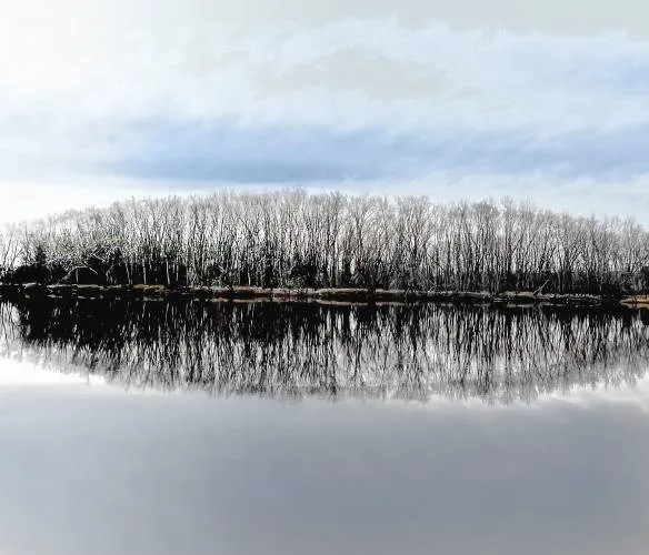 Opinion: Stillness speaks through the lens