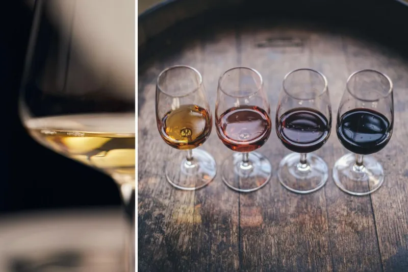 Wine Certification Class for New Hampshire, Maine Starts January
