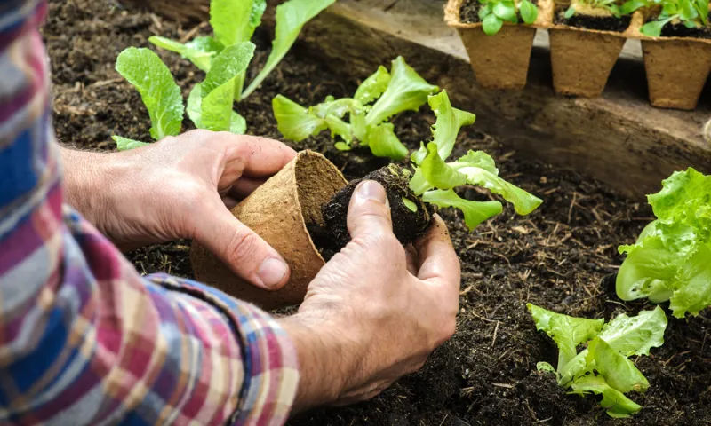 Commissioners and Office of Sustainability announce the 2026 Certified Gardeners Horticultural Training Program