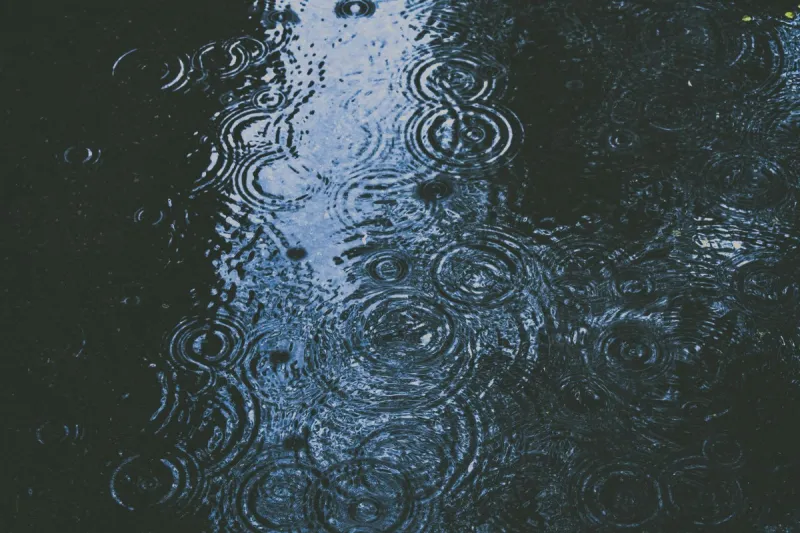 15 Things to Do in the Rain With Your Kids in South Jersey