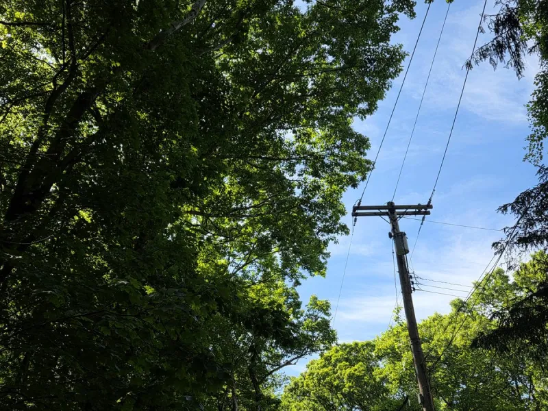 NJ weather: Warming from breezy 70s to sunny 80s this week