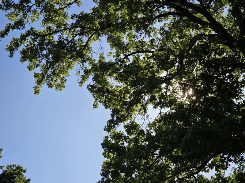 NJ weather: Sunny and dry, seasonably warm and not humid