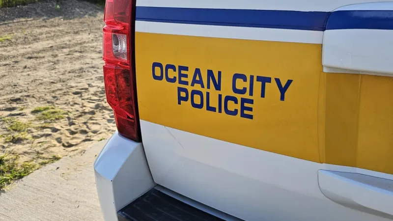 Go Birds, Grab Cash? Eagles Fan Sought in Ocean City Theft Case