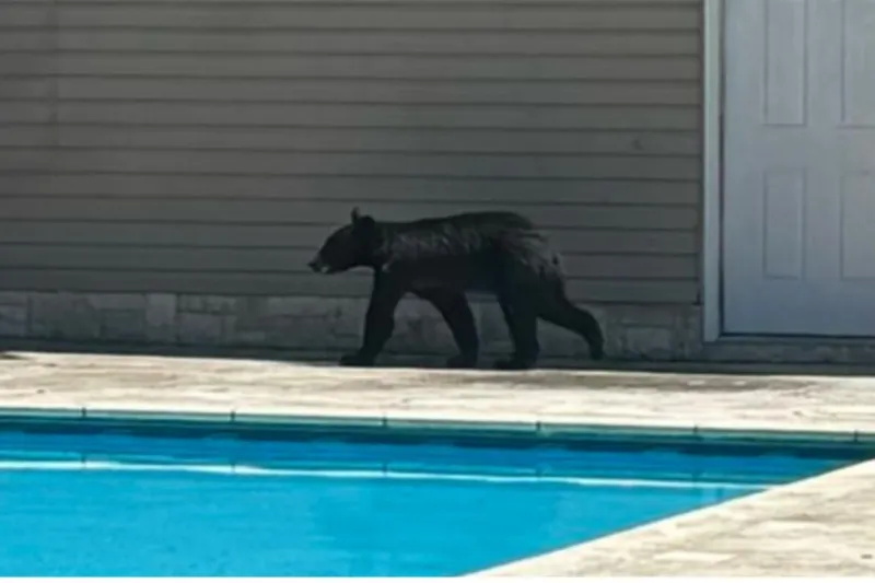 World Cup crowds nearby, but this NJ visitor stole the show