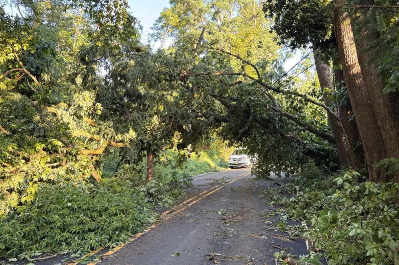 Thosands without power in NJ after strong thunderstorms