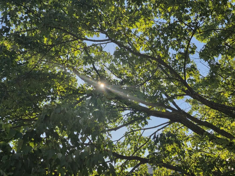 NJ weather: Beautiful day Wednesday, humidity and storms Thursday