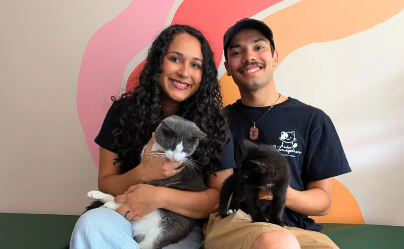 Collingswood Welcomes Catmosphere, its First Cat Caf