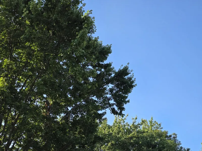 NJ weather: A day of sun, then soaking storms and humidity return