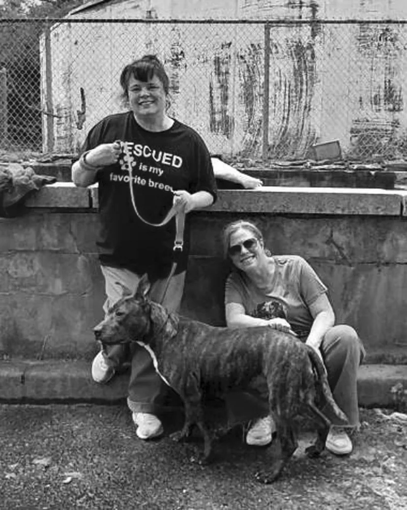 West Orange Animal Welfare League seeks volunteers