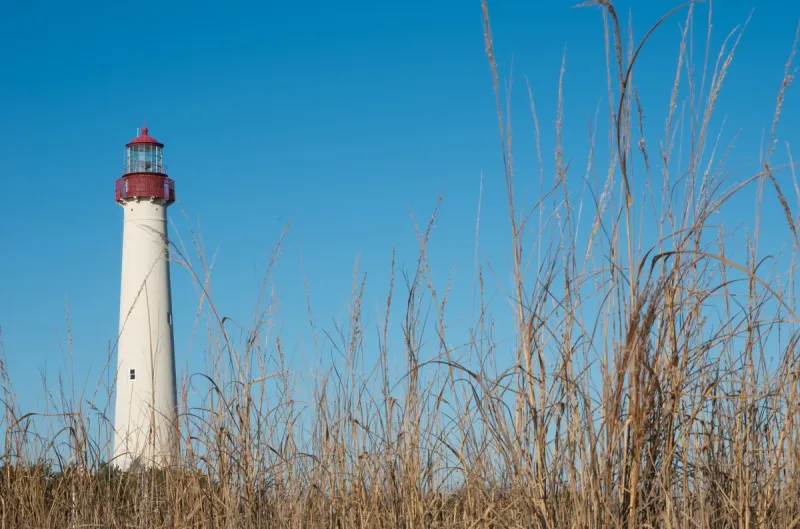 This South Jersey Place Called Most Beautiful Spot in New Jersey