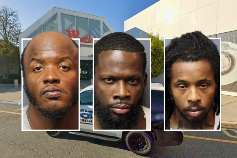 Shoplifting suspect rammed police cars at NJ mall, cops say