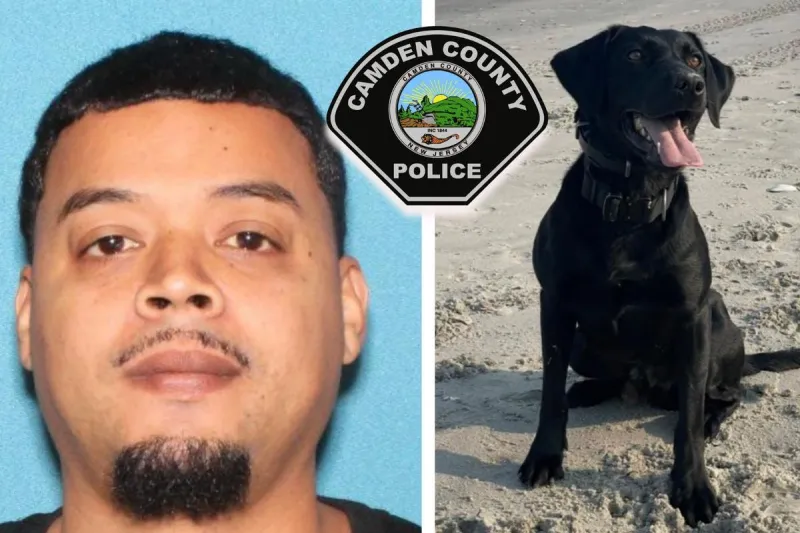 Cops: K-9 finds hidden phone in NJ man's child exploitation case