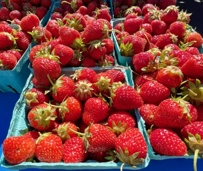A Local's Guide to Montclair Farmers Market