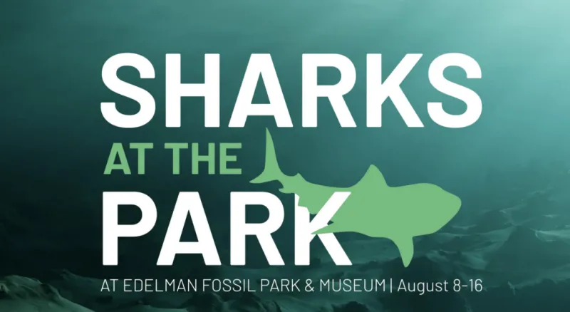 Sharks Are Taking Over Edelman Fossil Park & Museum This August