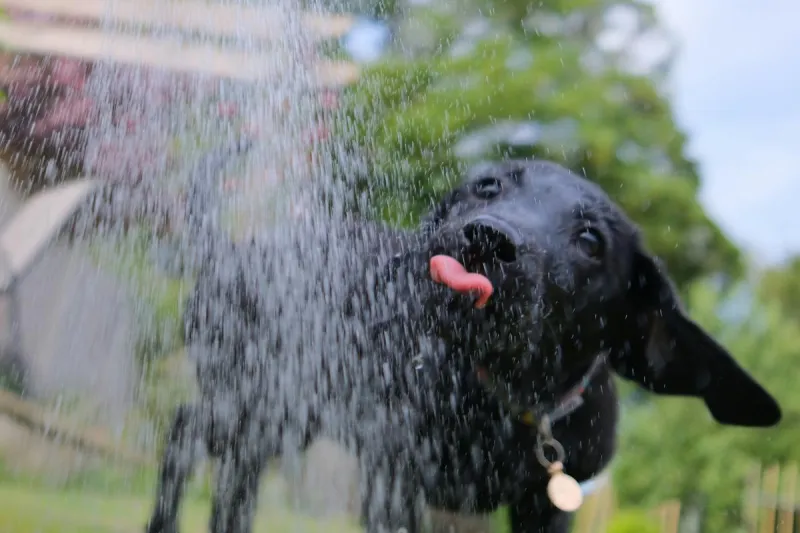 NJ weather: Friday may be the steamiest stormiest day of the week