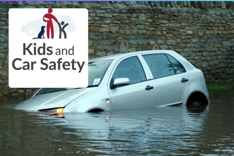 Could you escape a sinking car? Most people can't - NJ Top News
