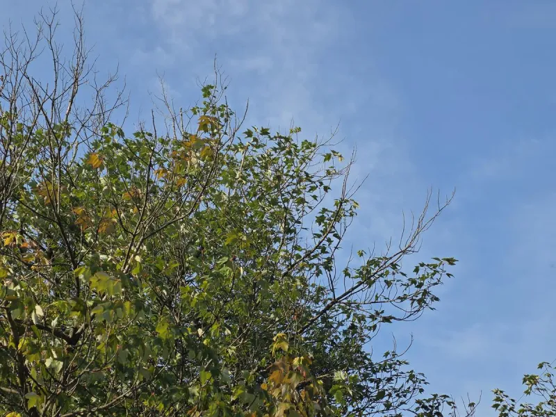 NJ weather: Two more hot days with late-day thunderstorm chances