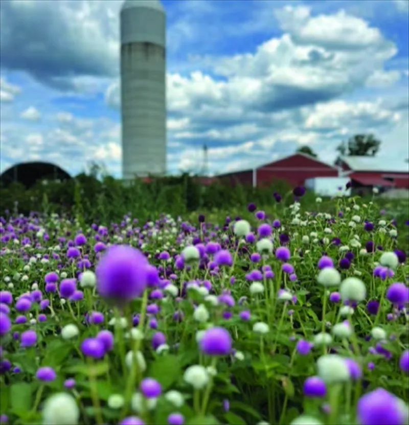 Explore Morris County's Farms With New Farm Trail Passport