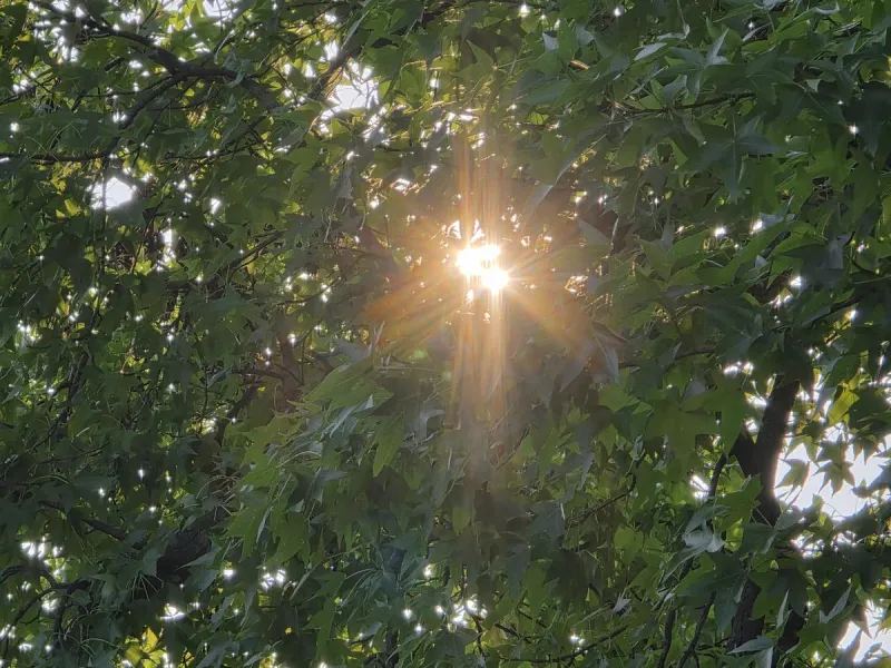 NJ weather: Sunshine, manageable humidity, pleasantly warm temps