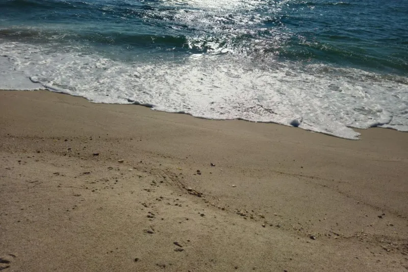NJ beach weather and waves: Jersey Shore Report for Monday