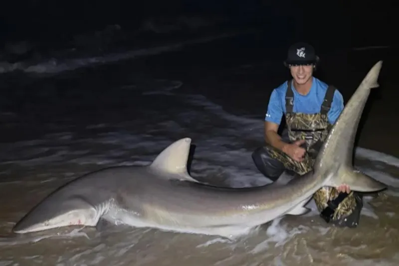 Bay Head uses state law to end drone bait drops for shark fishing