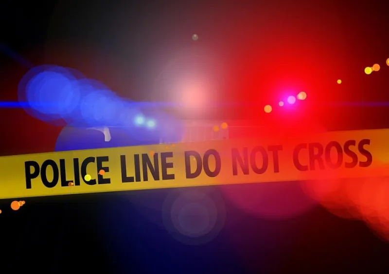 Brick Woman Blames Bug In Fatal PA Crash