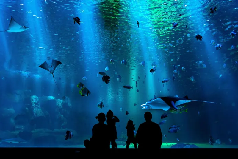 NJ parents, don't miss this free adventure for your little ones