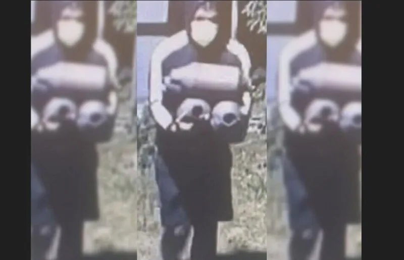 EHT Police Hope Someone Recognizes These Catalytic Crooks [VIDEO]