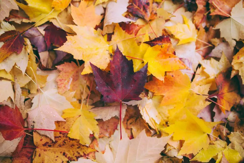 The telltale signs summer is winding down in New Jersey