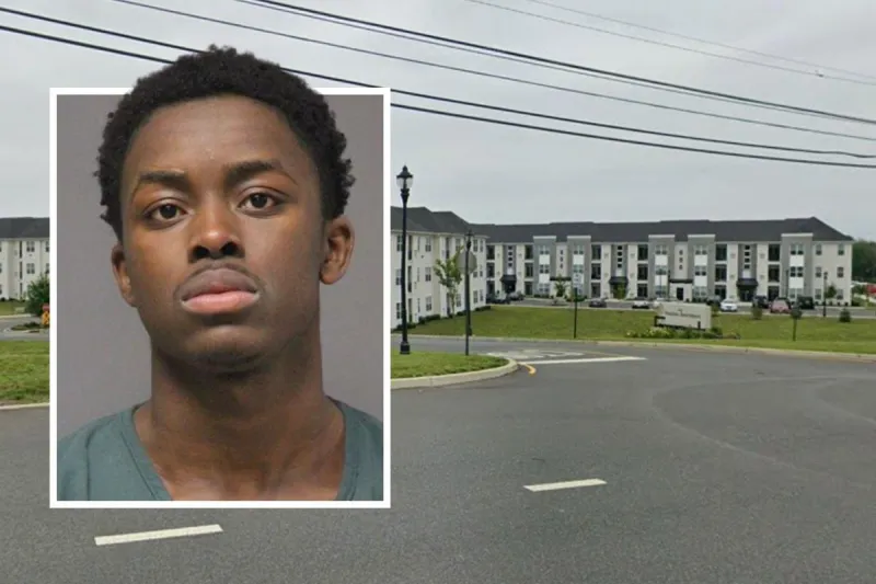 After NJ woman's Thanksgiving stabbing, 19-year-old faces prison