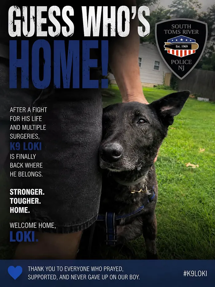 K9 Loki Recovering After Medical Emergency