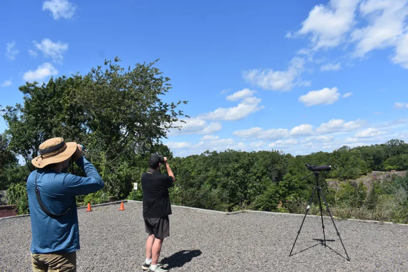 'Our Little Oasis': Montclair Hawk Watch, in its 70th Season, Provides Sanctuary and Community