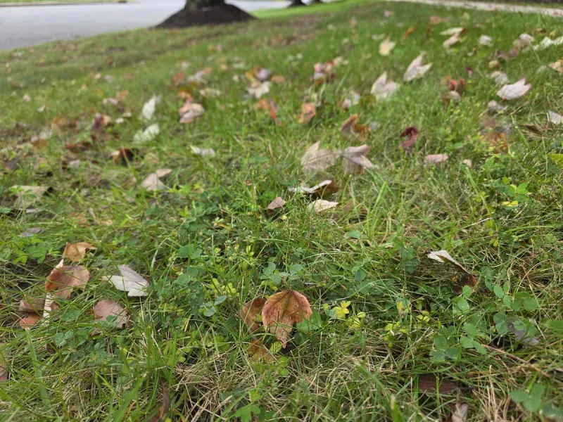 NJ weather: Humidity plummets, crisp fall-like days ahead