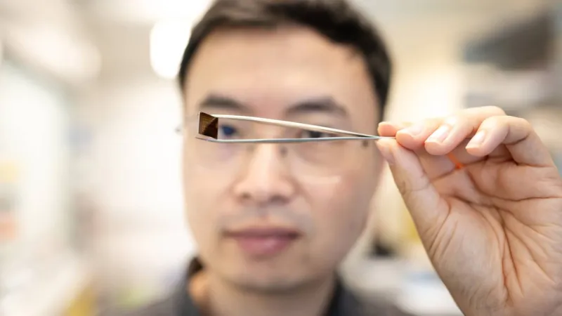 Princeton engineers create an erasable semiconductor programmed with light